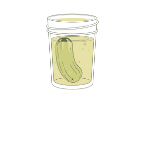 ترشی