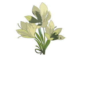 زعفران